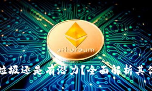 TPWallet垃圾还是有潜力？全面解析其优势与劣势