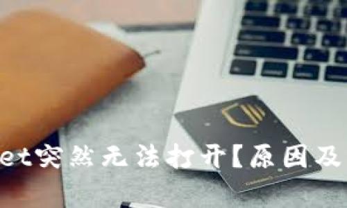 为何TP Wallet突然无法打开？原因及解决方案解析