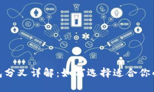 : 比特币钱包分叉详解：如何选择适合你的比特币钱包