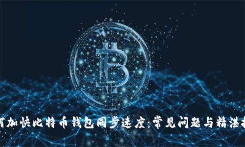 如何加快比特币钱包同步速度：常见问题与精湛技巧