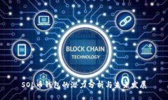 SOL币钱包的潜力分析与未来发展