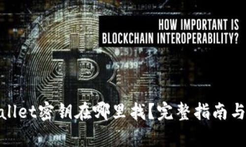 tpwallet密钥在哪里找？完整指南与技巧