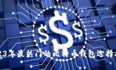 2023年最热门的比特币钱包选择指南