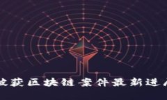 池州破获区块链案件最新进展解析