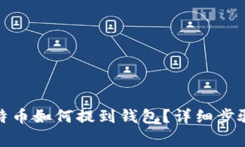 : 火币网比特币如何提到钱包？详细步骤与注意事项