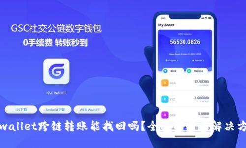 tpwallet跨链转账能找回吗？全面解析与解决方案