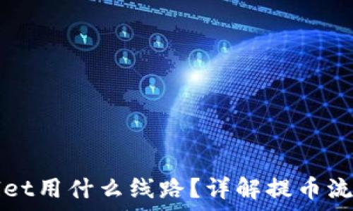   
提币到TPWallet用什么线路？详解提币流程及注意事项