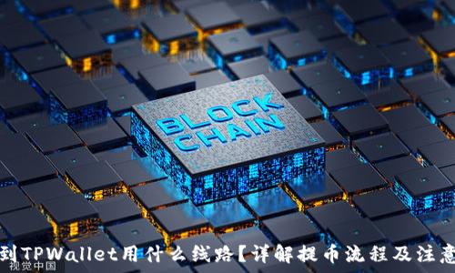   
提币到TPWallet用什么线路？详解提币流程及注意事项