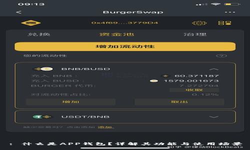 : 什么是APP钱包？详解其功能与使用场景