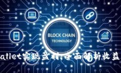 如何通过TPWallet实现盈利：全面解析收益照片及其