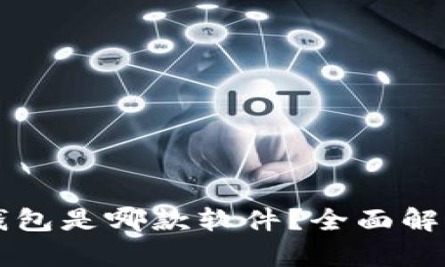 瑞波币官方钱包是哪款软件？全面解析及使用指南