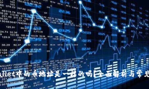 TPWallet中的币地址是一样的吗？全面解析与常见问题