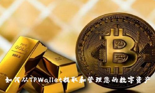 如何从TPWallet提取和管理您的数字资产