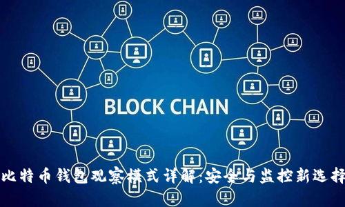 比特币钱包观察模式详解：安全与监控新选择