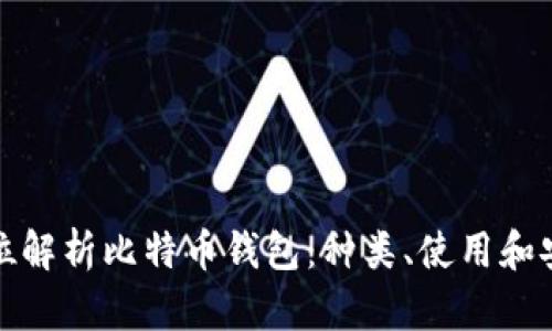 全方位解析比特币钱包：种类、使用和安全性