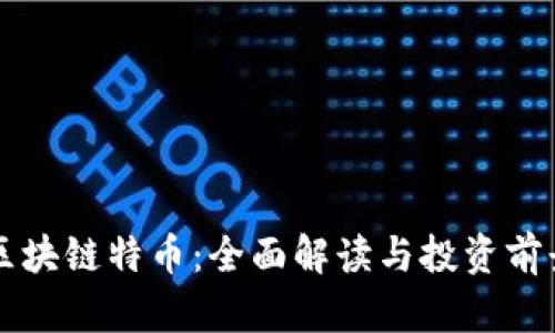华登区块链特币：全面解读与投资前景分析