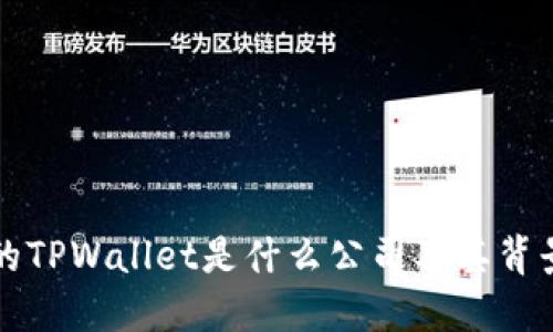 付盼的TPWallet是什么公司及其背景介绍