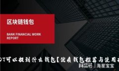 USDT可以提到什么钱包？优